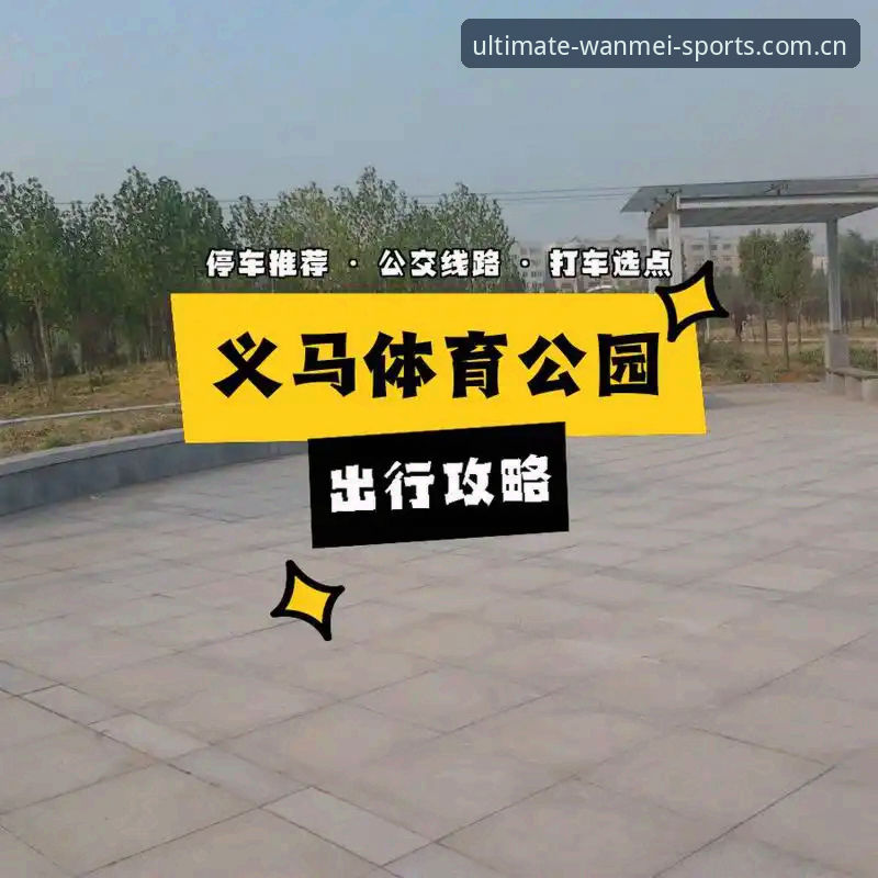 完美体育官网 vs 完美体育WM官网登录入口：新手玩家选择指南与使用教程对比分析